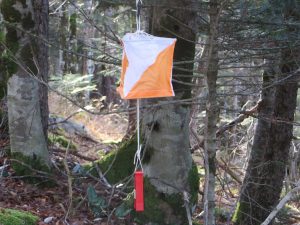 2016_11_27_caf_orientation_021